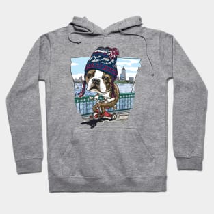 Boston Terrier Dog with Blue Silver and Red Winter Beanie Hoodie